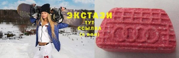 шишки Алзамай