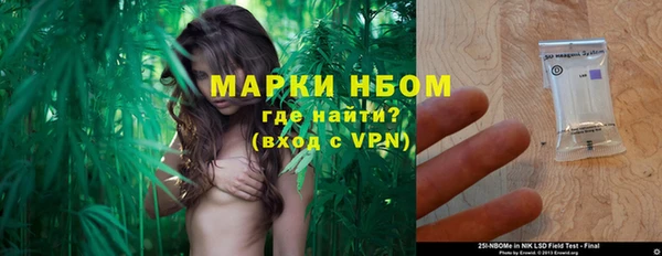 шишки Алзамай