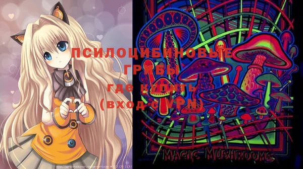 шишки Алзамай