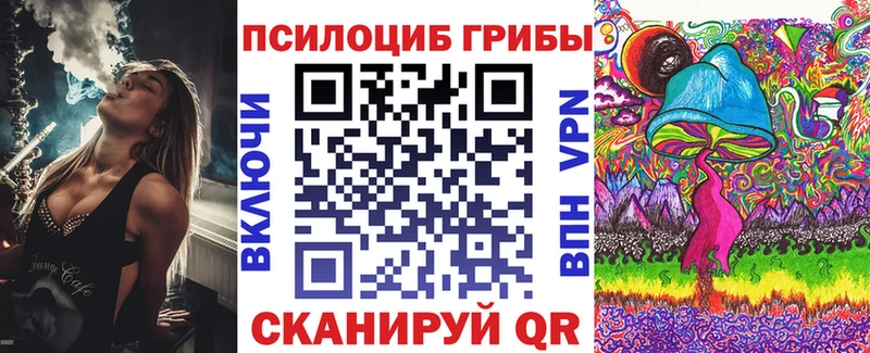 Псилоцибиновые грибы мицелий Дмитров