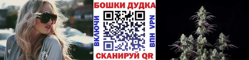 купить  цена  Дмитров  Бошки марихуана гибрид 